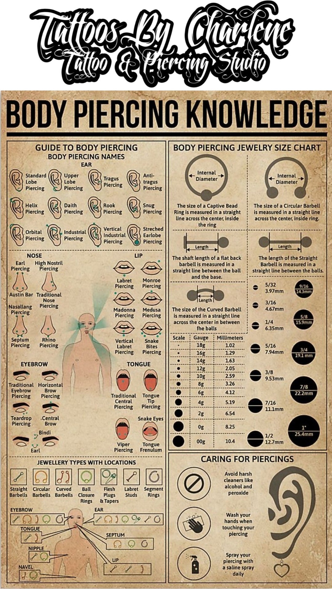 Piercing Jewelry 101: A Guide to Choosing the Right Jewelry for Your Piercing