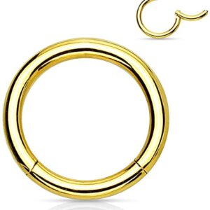 1.2 X 10 HINGED SEGMENT RING – GOLD