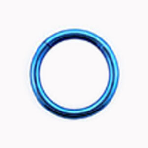 1.2 X 10 SEGMENT RING – BLUE