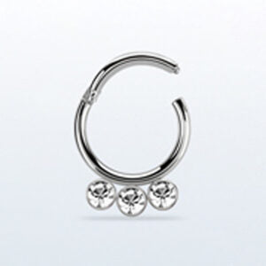 1.2 X 10 HINGED SEGMENT RING – STEEL – 3 STONE